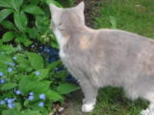 IMG_1330.jpg