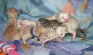 alle zusammen 1 Tag 6.jpg